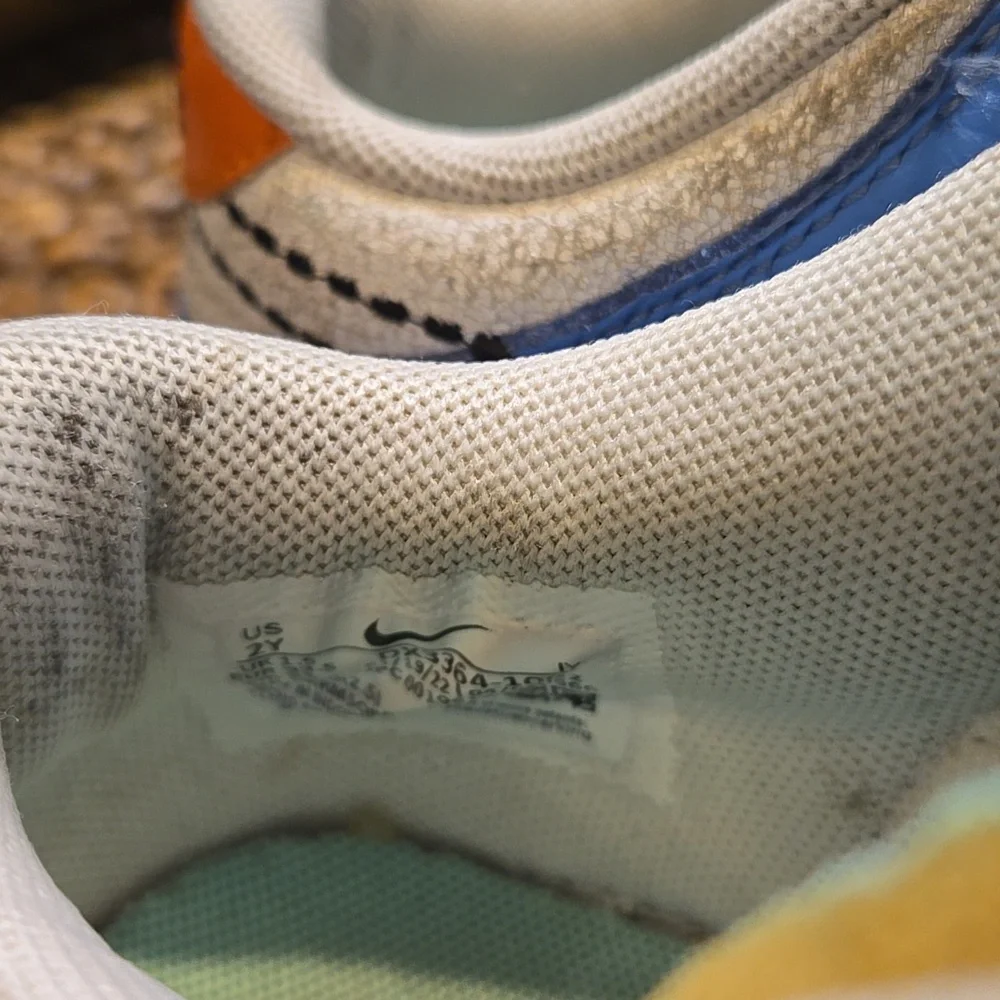 Nike Dunk Rough Leather - Picture 4 of 5